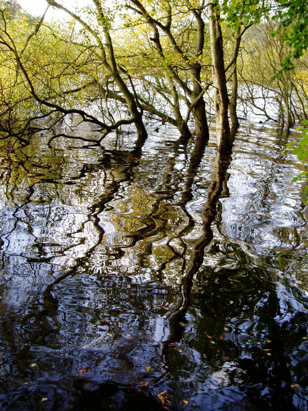 http://myweb.tiscali.co.uk/offroadrunner/page_pictures/process.gif